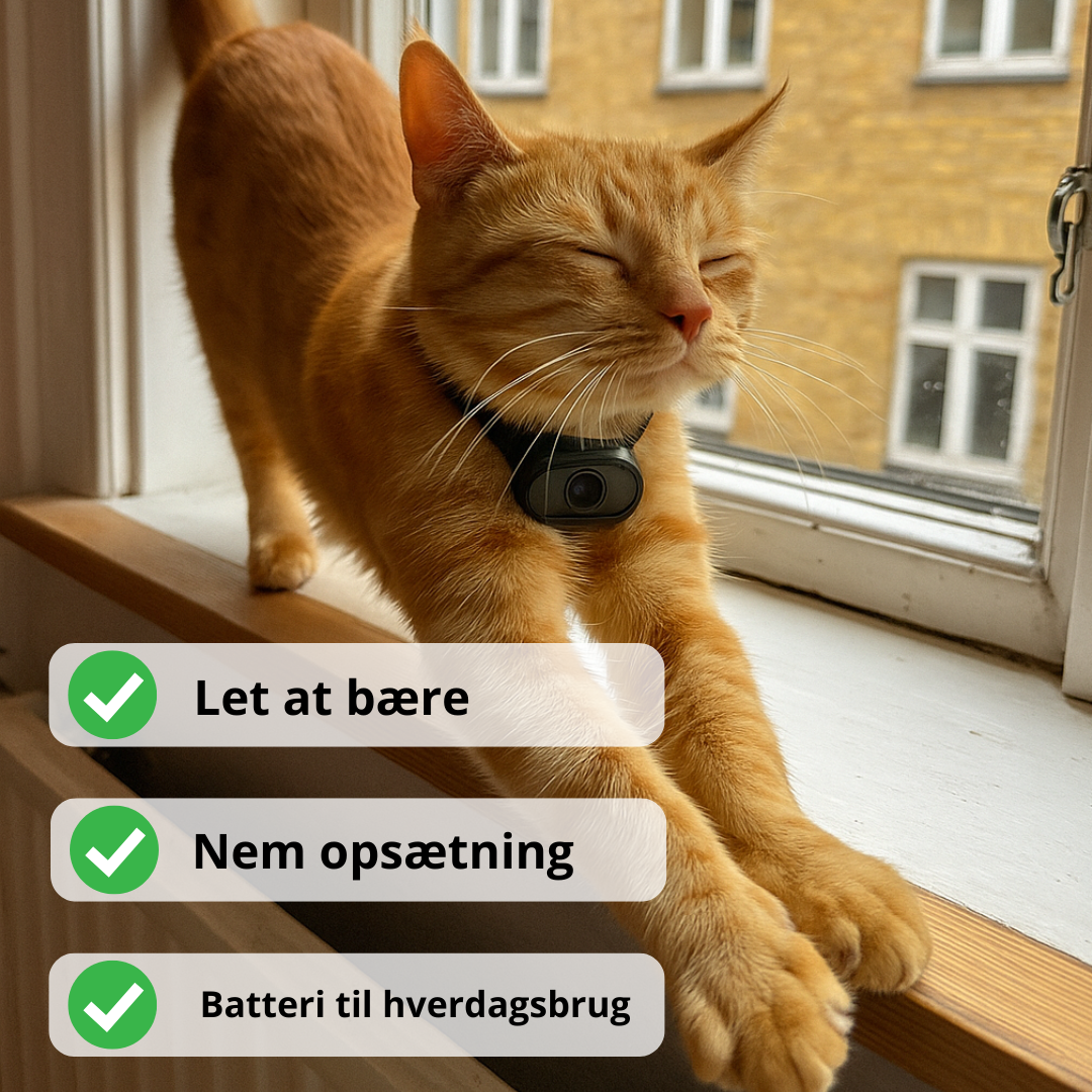 Kattekamera Halsbånd