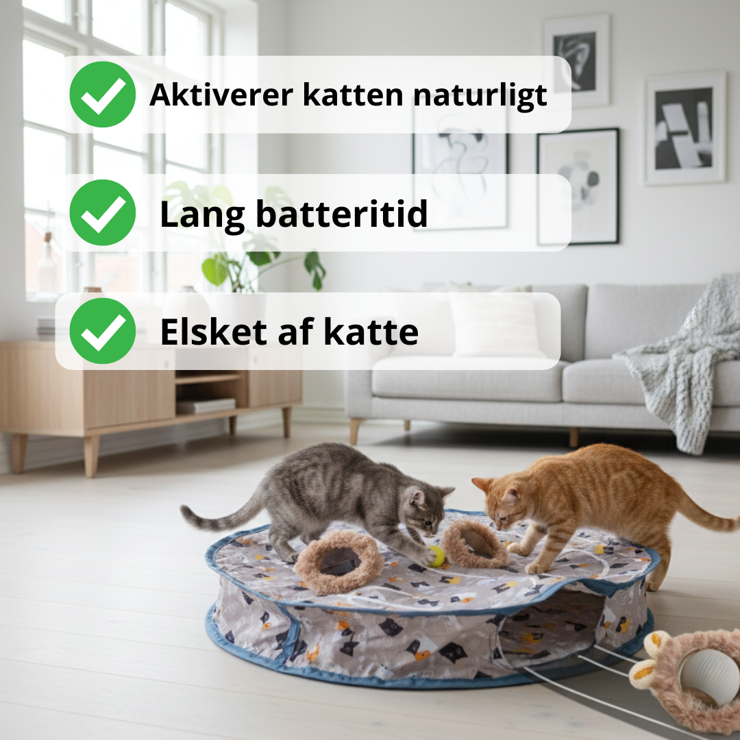 Jagt lege måtte med elektronisk bold