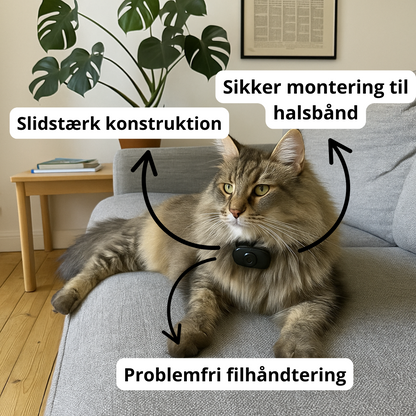 Kattekamera Halsbånd