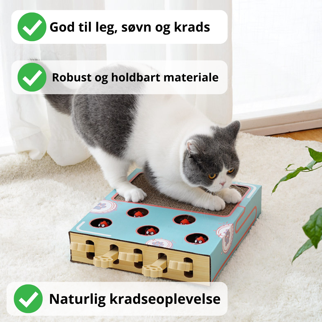 Multifunktionelt kattelegetøj