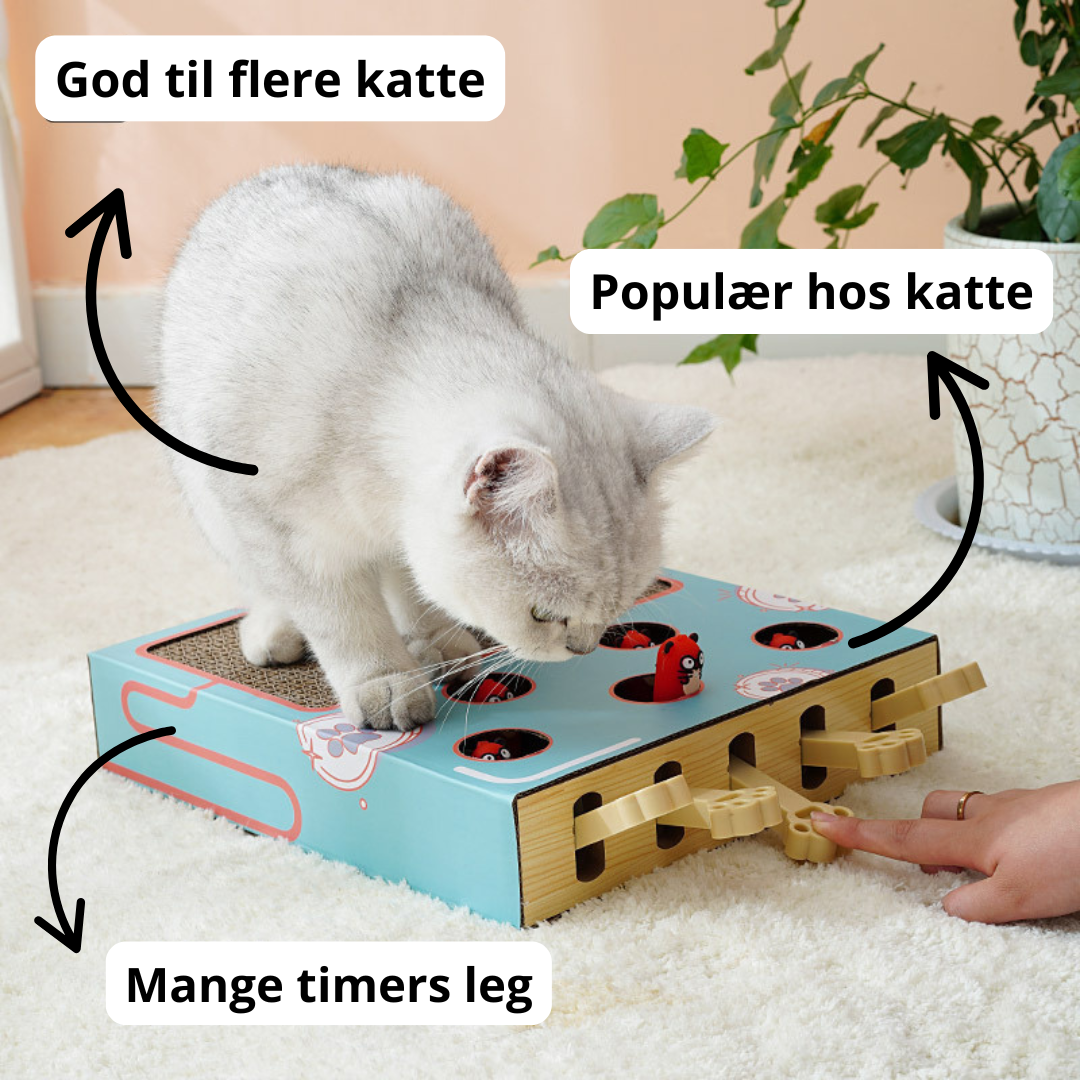 Multifunktionelt kattelegetøj