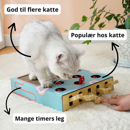 Multifunktionelt kattelegetøj