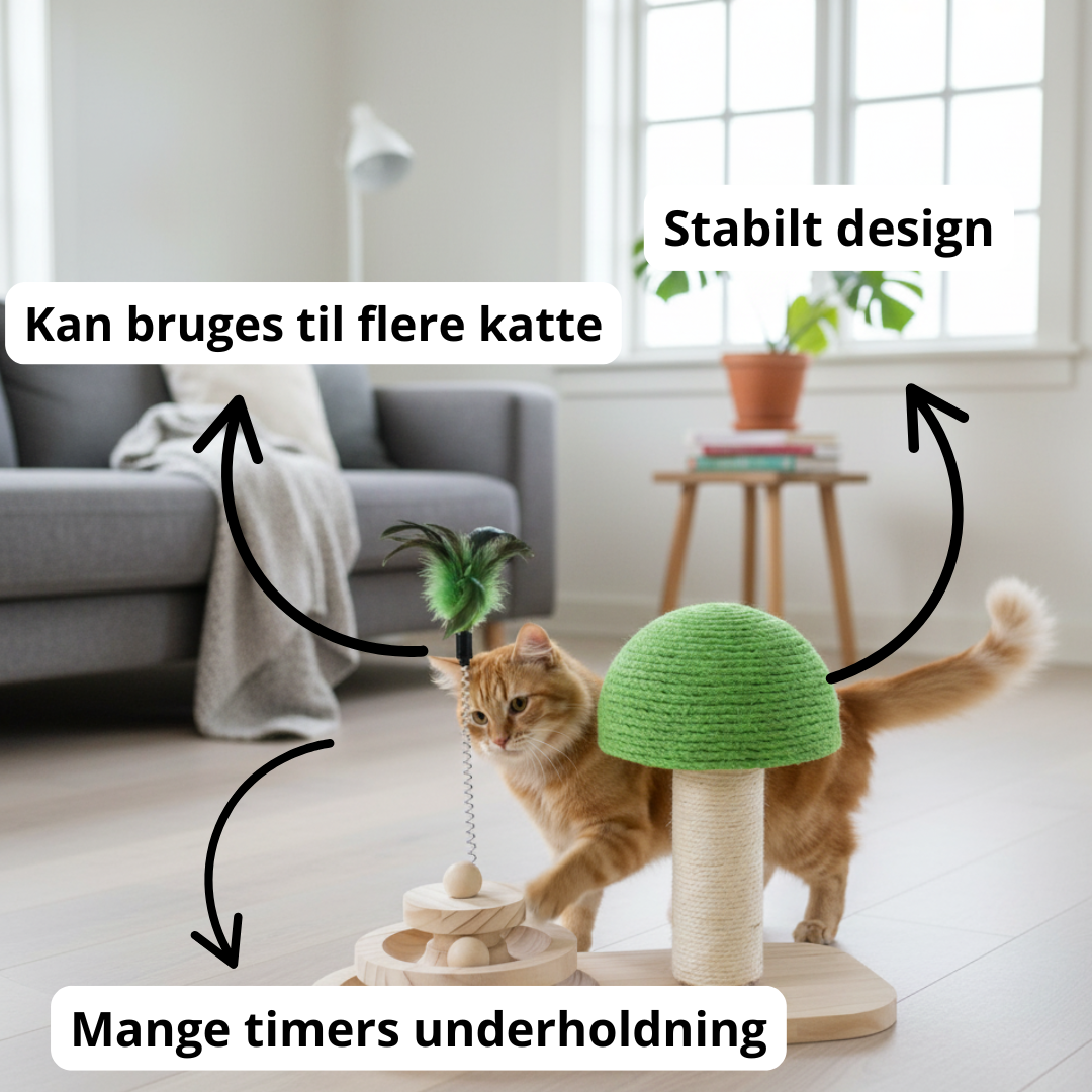 Multifunktionelt kattelegetøj i træ