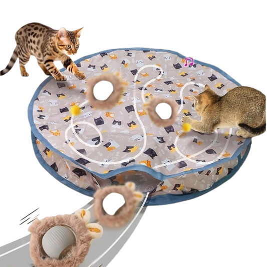 Jagt lege måtte med elektronisk bold